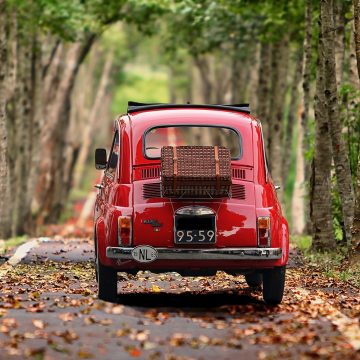 Secondo dati ISTAT la popolazione residente in Italia al 1° gennaio 2023 è di 58 milioni e 851mila unità, 179mila in meno sull'anno precedente, per una riduzione pari al 3‰.